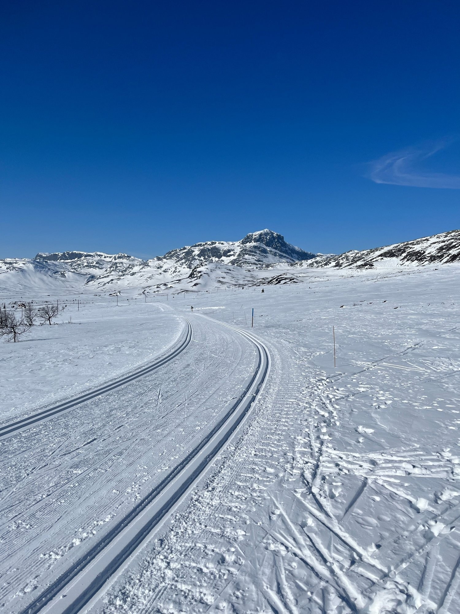 Ett fantastisk løypenett. Galleribilde