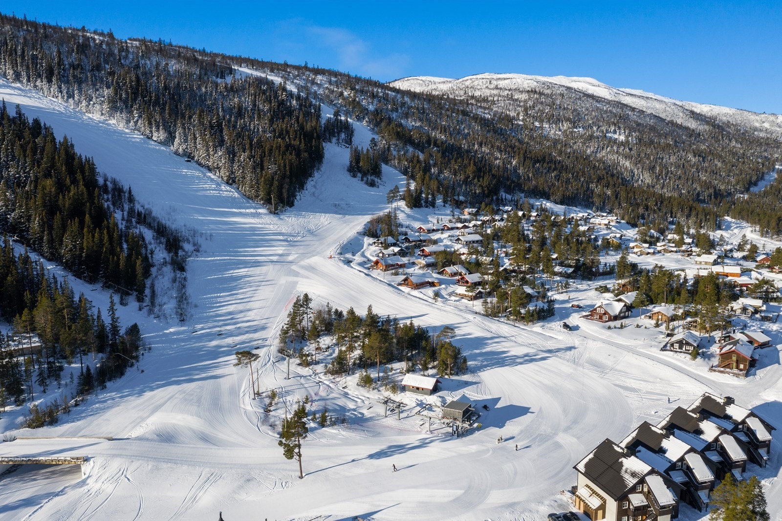 Bilde fra skibakken Galleribilde