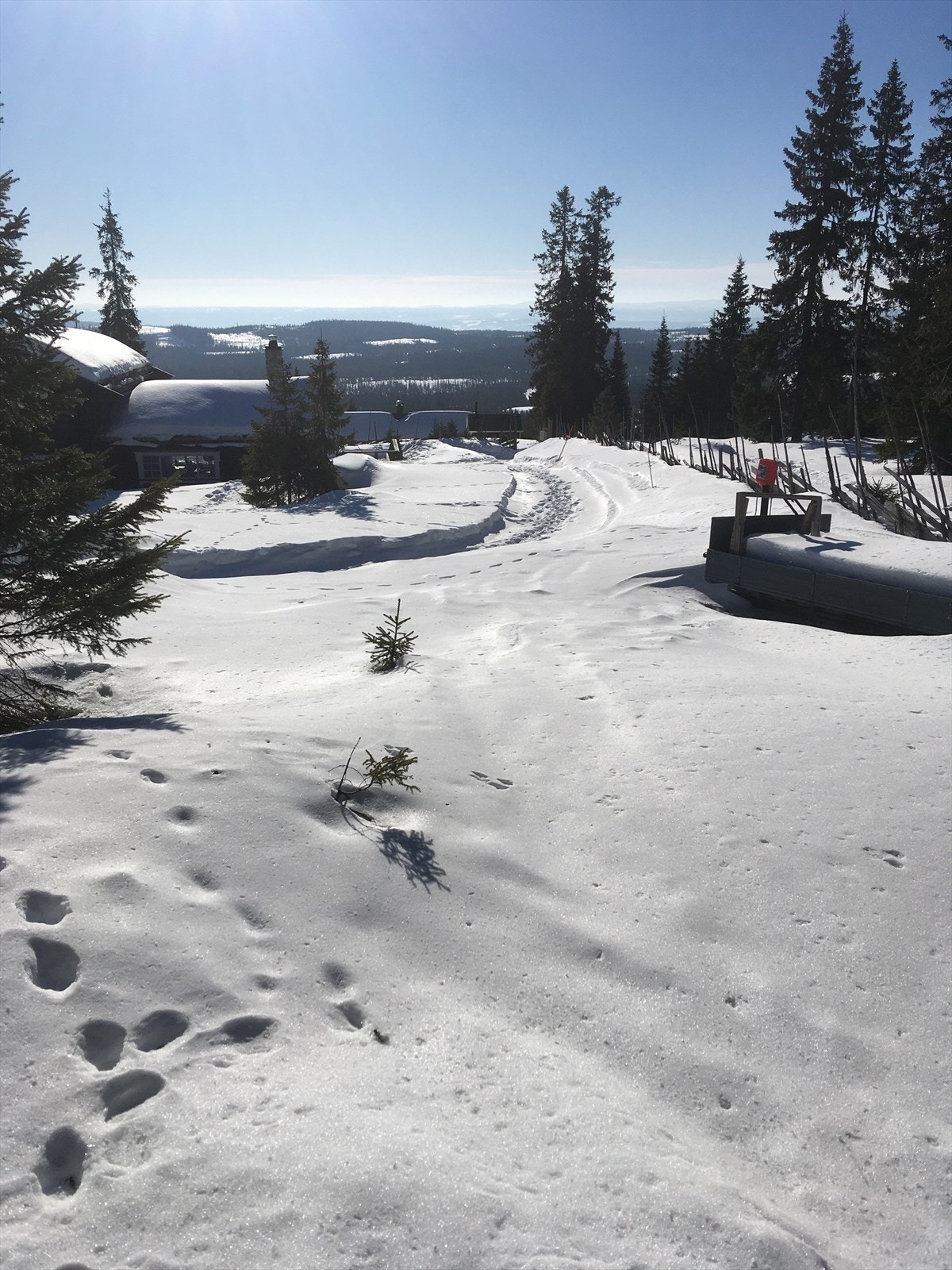 Vinteren er flott på Nordseter. Fantastisk løypenett i variert og familievennlig terreng. Galleribilde