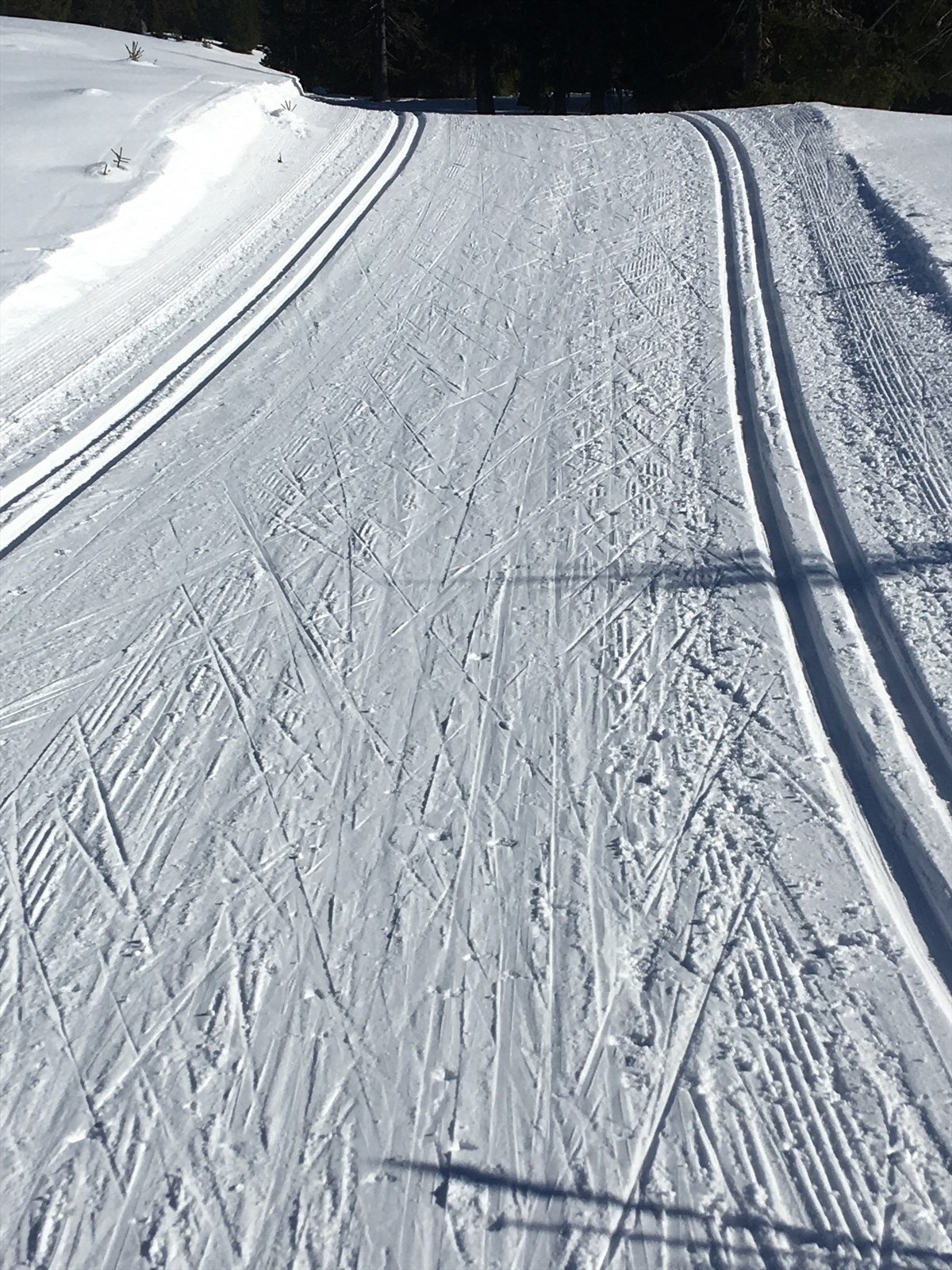 Oppkjørt skiløype går rett utenfor porten til hytta. Galleribilde