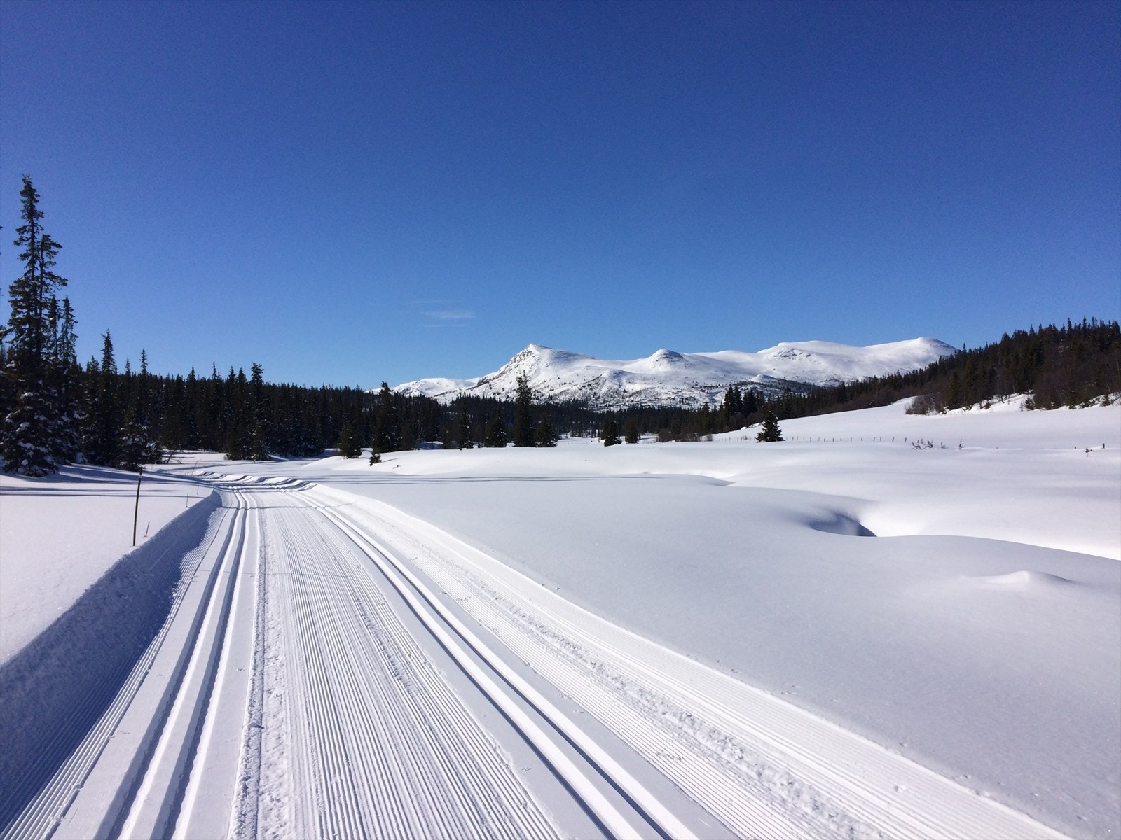 Selgers egne bilder fra en flott skitur i det fantastiske løypenettet. Galleribilde