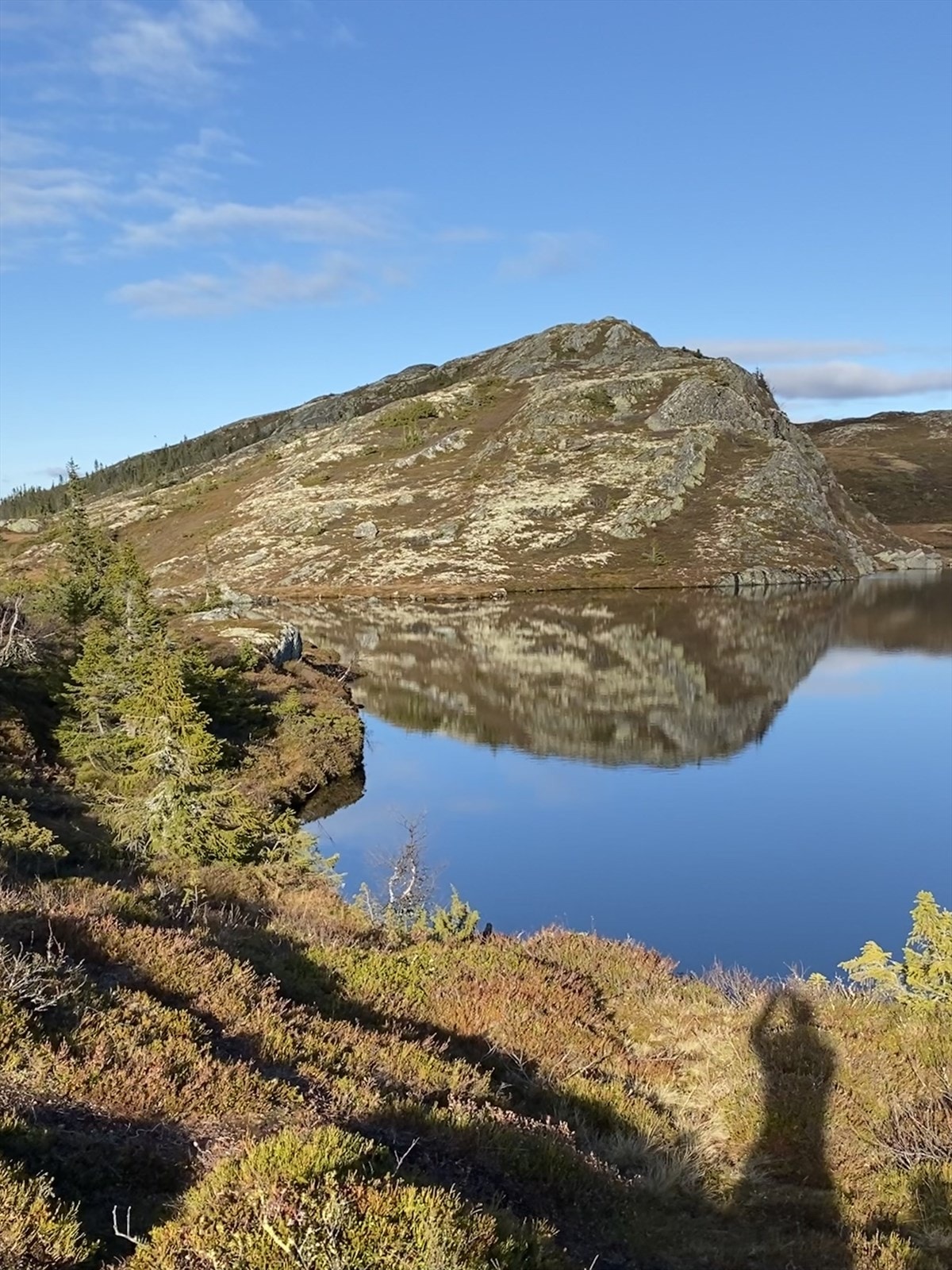 Selgers egne bilder fra Anfinatten. Galleribilde