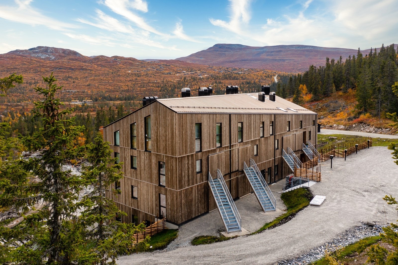 Høgevardetoppen i bakgrunnen Galleribilde