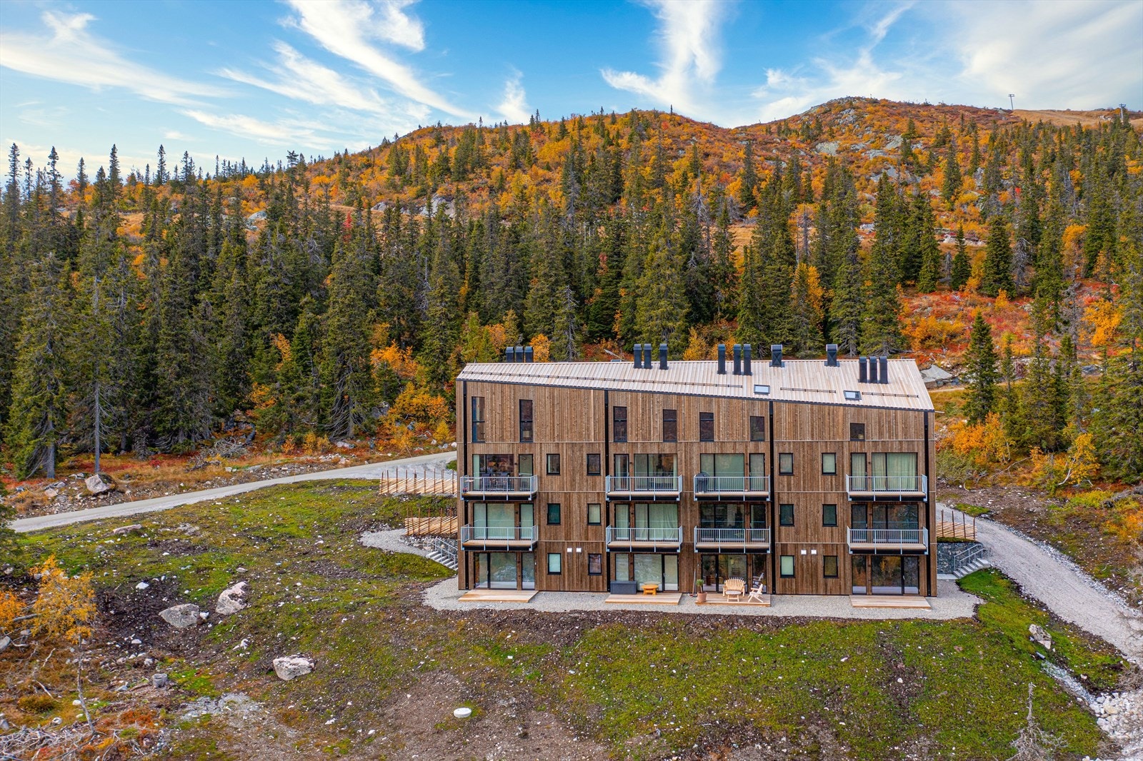 Plassert høyt og fritt, her bor du bokstavelig talt i tretoppene Galleribilde