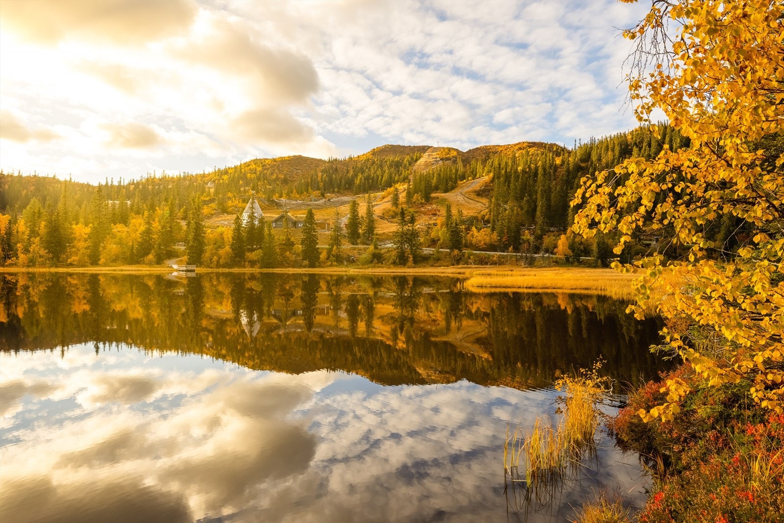 Herlige høstfarger Galleribilde
