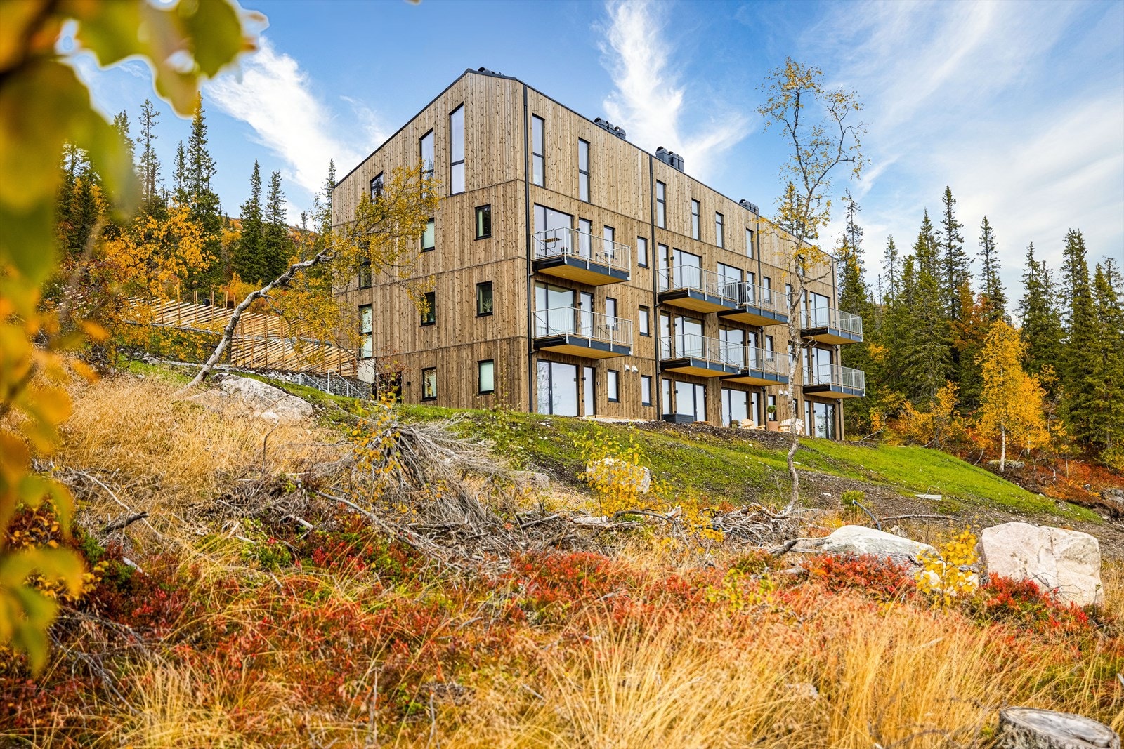 Bygget er tegnet av Vill Urbanisme og er oppført i massivtre produsert lokalt på en av verdens største massivtrefabrikker, Splitkon Galleribilde