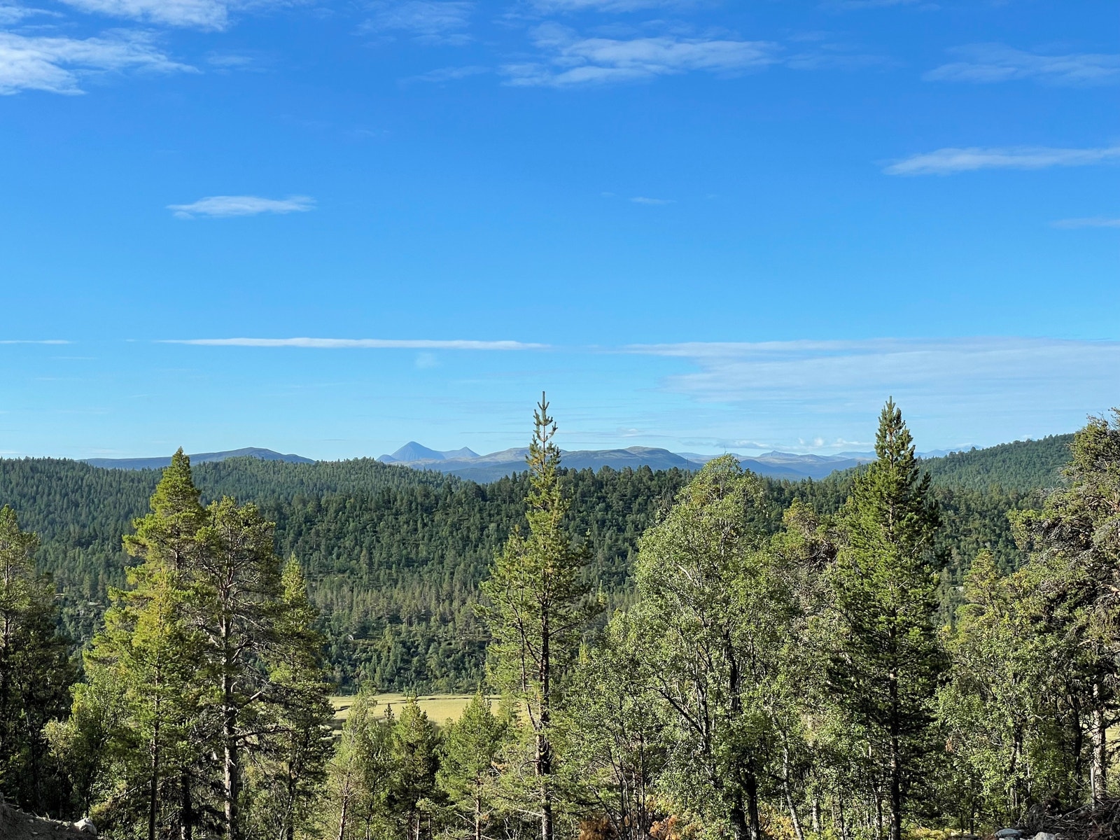 Utsikt mot Rondane Galleribilde