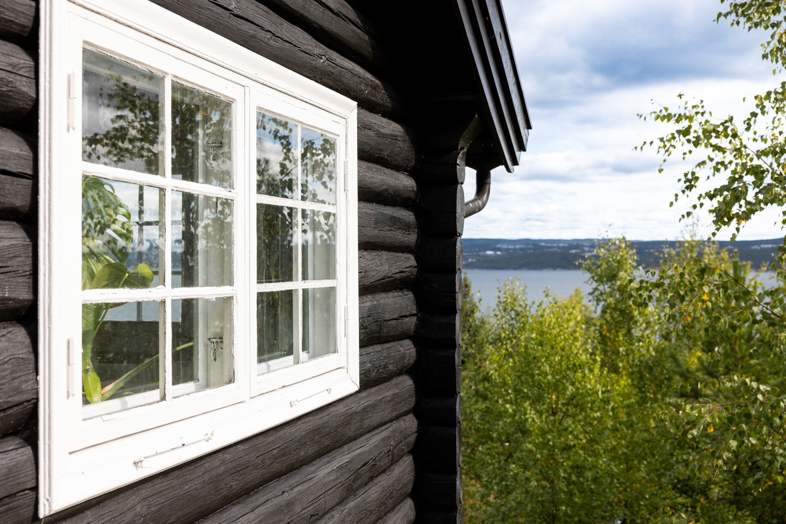 Nydelig utsikt! Galleribilde