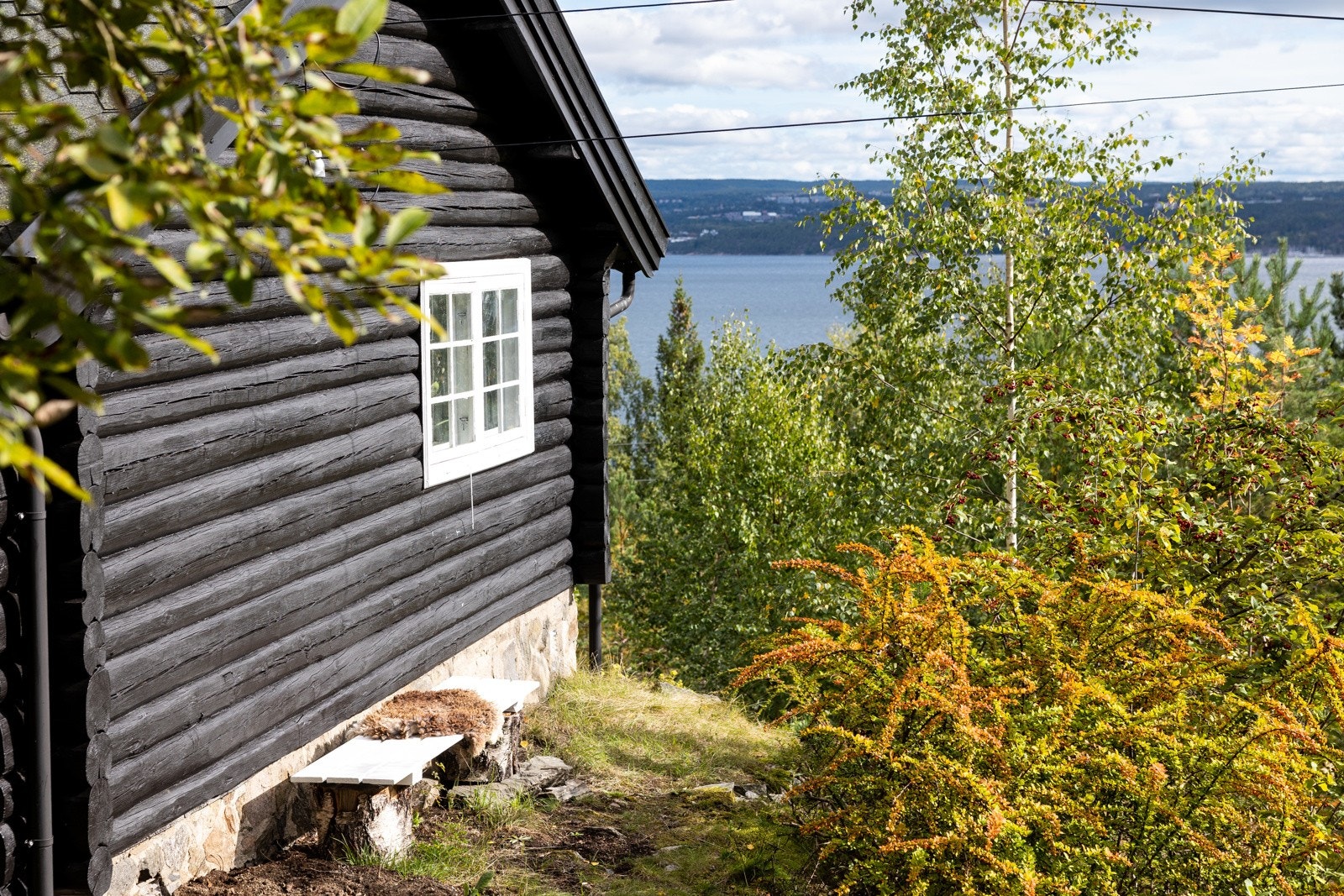 Grønt og frodig med nydelig sjøutsikt! Galleribilde