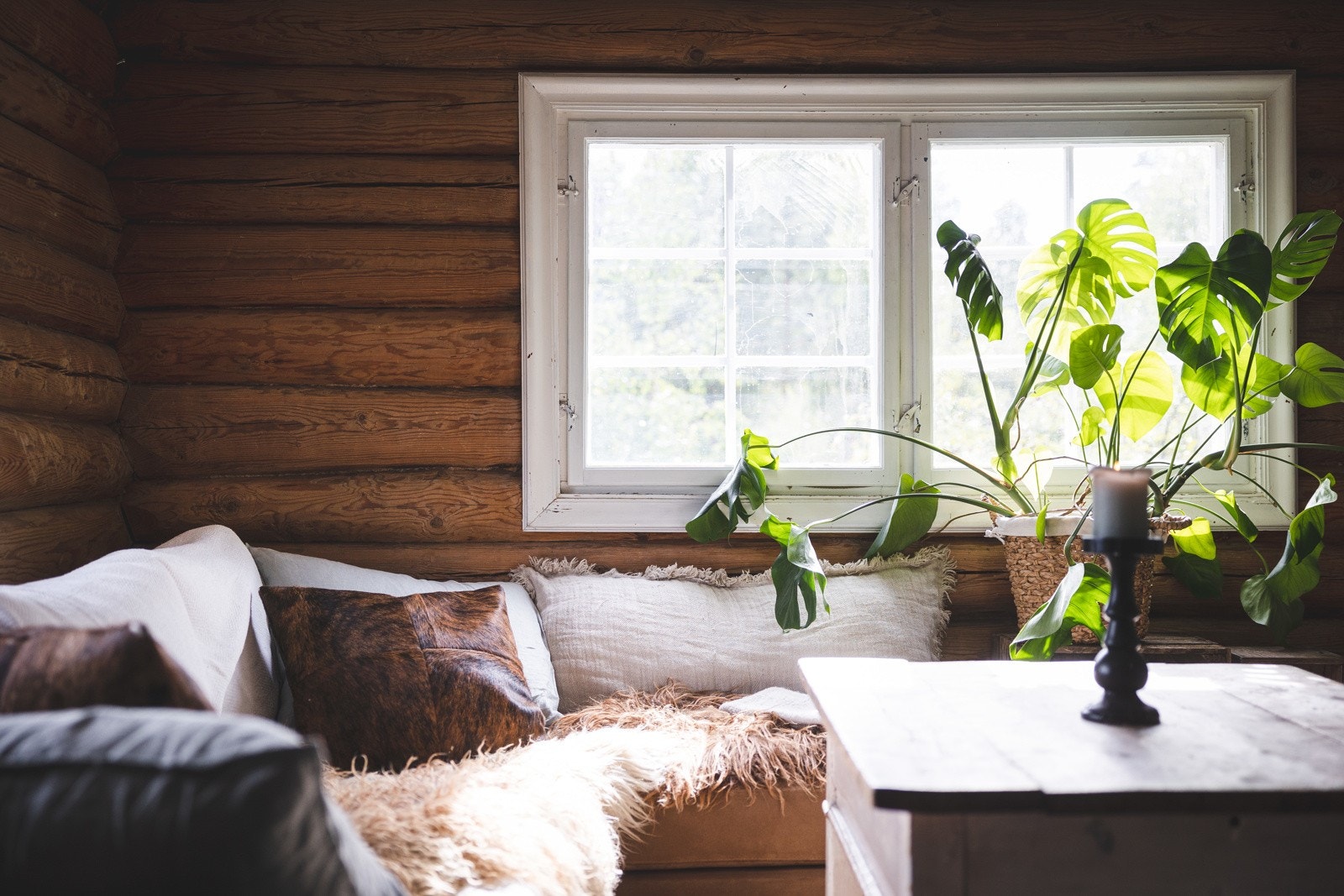 Flott laftet tømmer og lyse vinduskarmer. Galleribilde