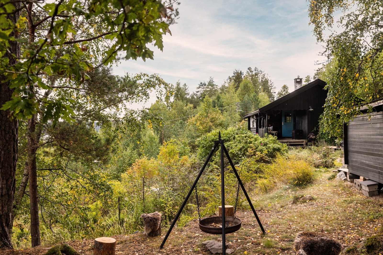 Hytta er omkranset av grønn og frodig beplantning. Galleribilde