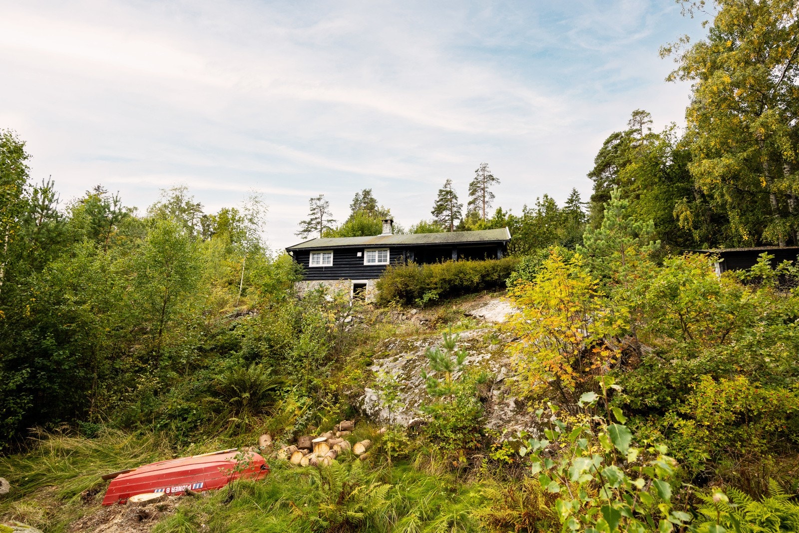 Skrånende tomt med siter, busker, fruktrær og store vakre trær. Galleribilde