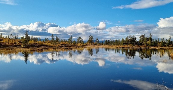 Steintjønn en solrik høstdag. Galleribilde