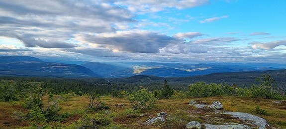 Utsikt fra nærmeste topp som ligger ca 15 min fra hyttegrenda. Galleribilde
