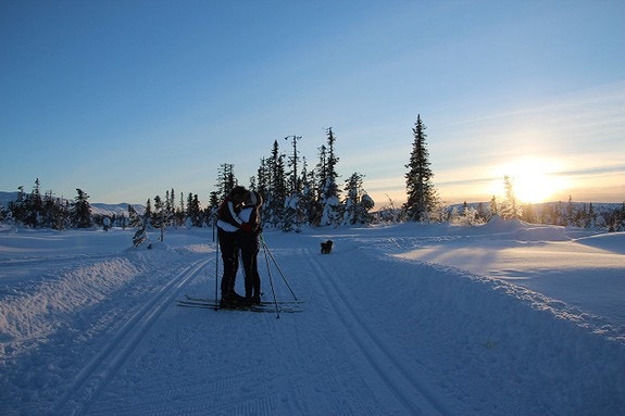 Kjærligheten kan blomstre selv på kalde dager! Galleribilde