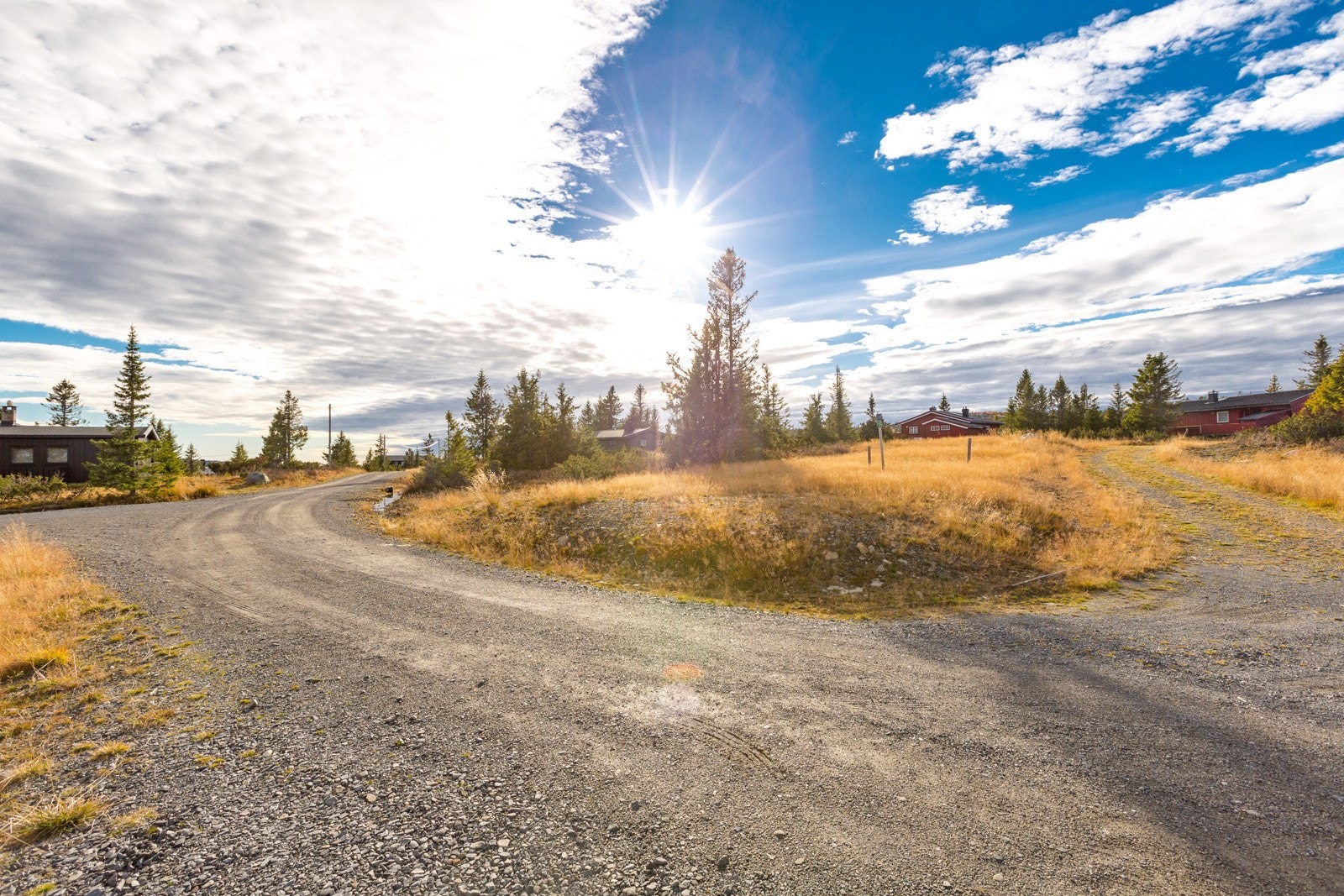 Helårsveg Galleribilde