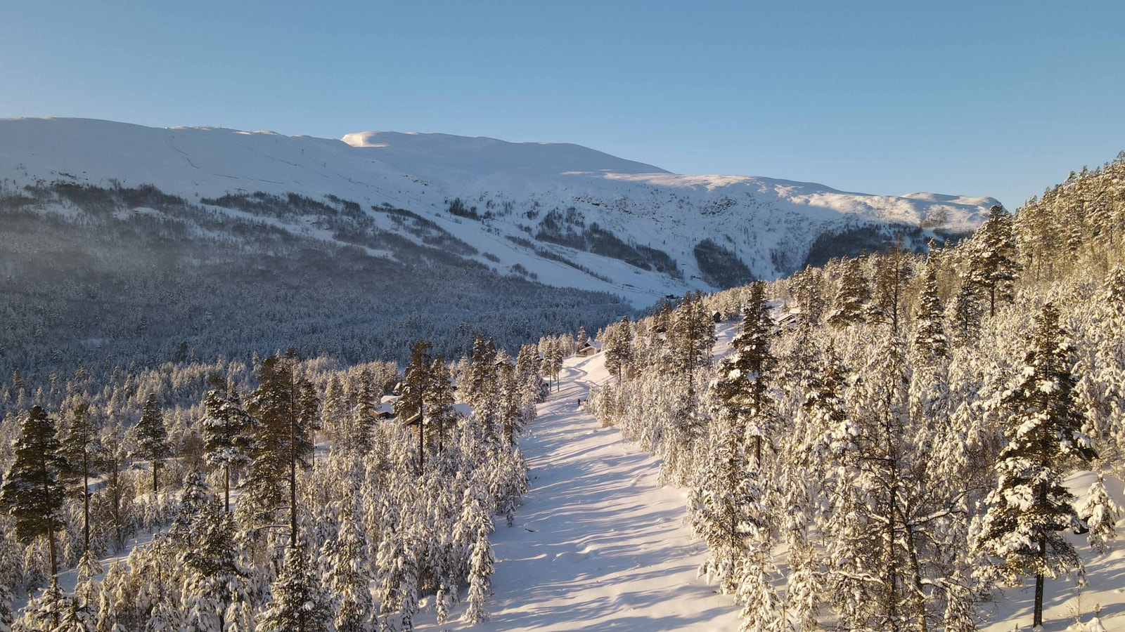 Fra tomteområdet Galleribilde