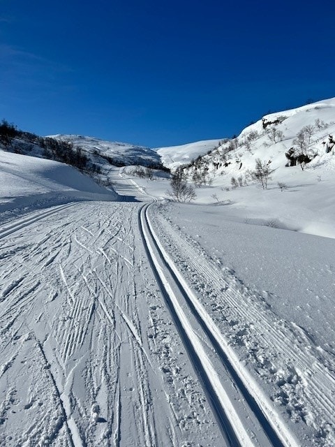 Skiløyper Galleribilde
