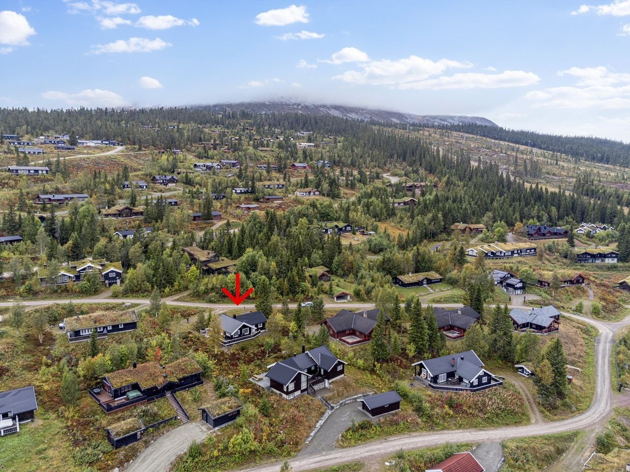 Velkommen til Trysilfjell hytteområde 613 - midt i smørøyet! Galleribilde