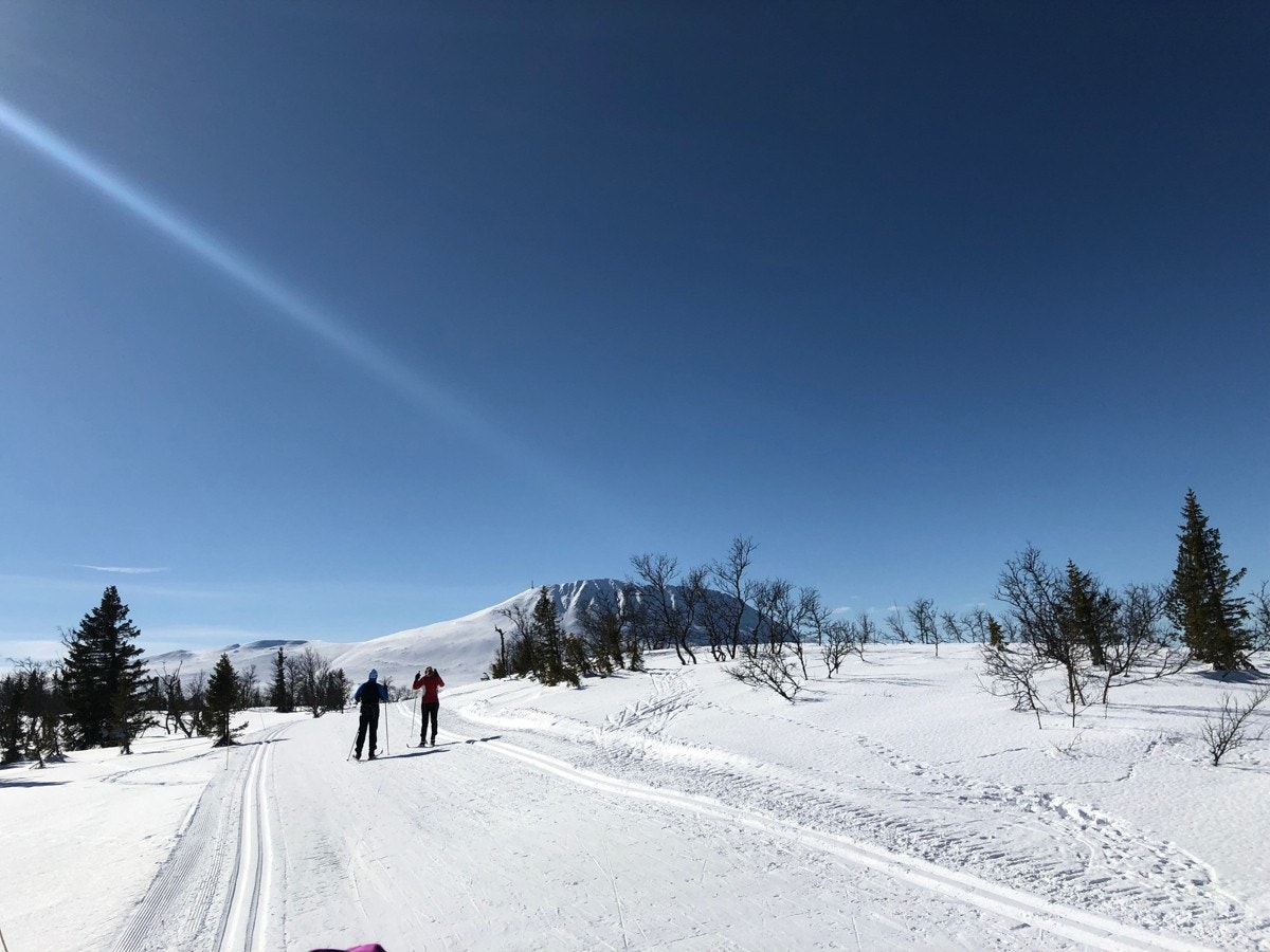 Fine langrennsløyper rundt Kvitåvatn og videre mot Gaustatoppen Galleribilde