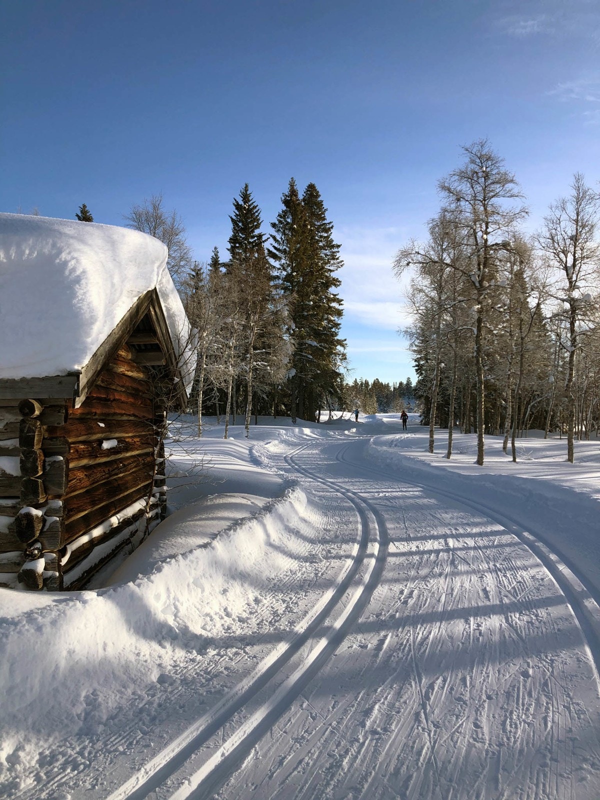 Skiløyper Galleribilde