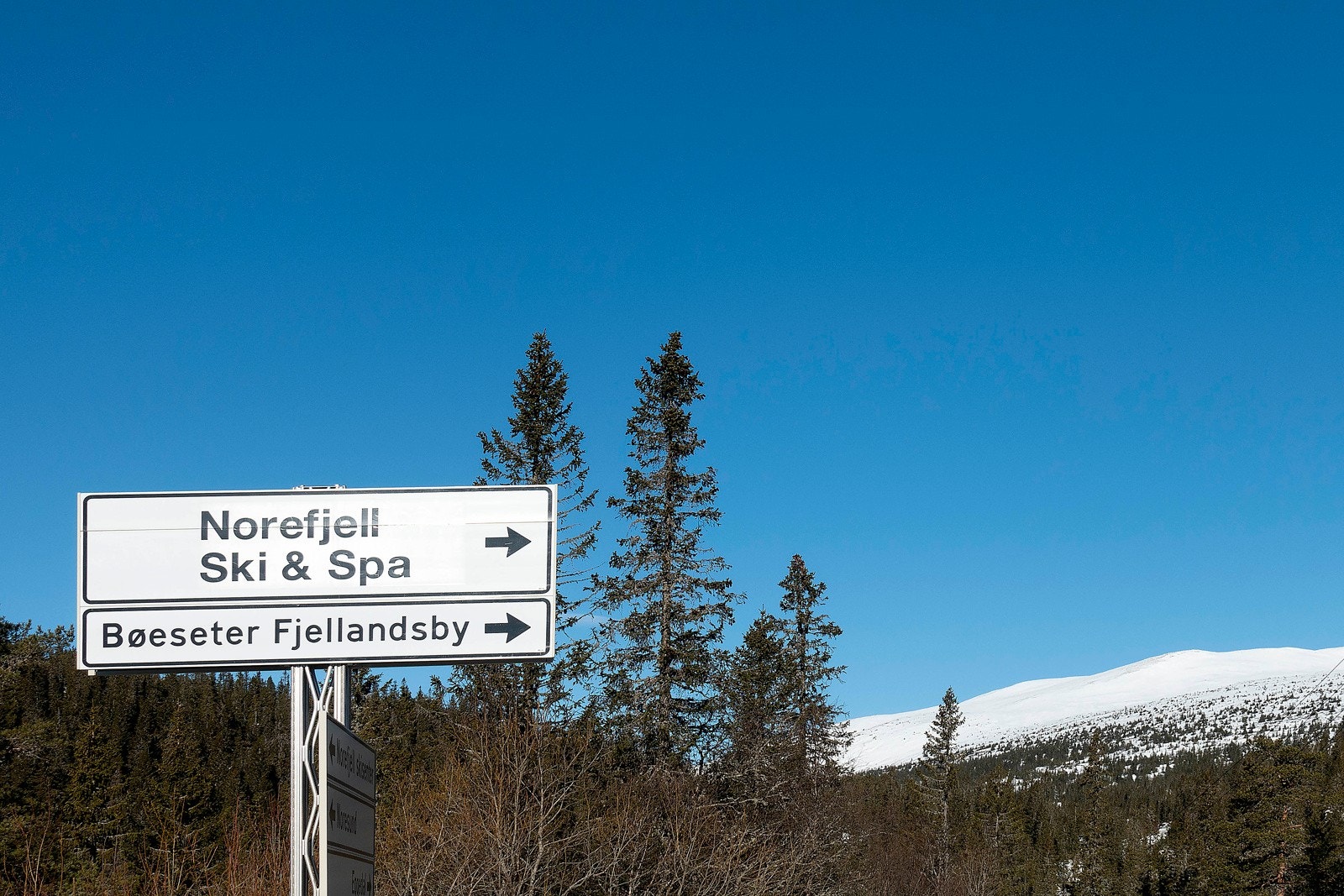 Nærområdet Galleribilde