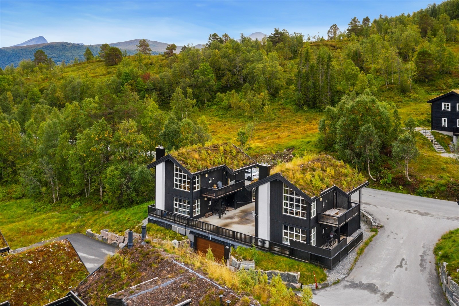 Dronefoto | Sameiet Galleribilde