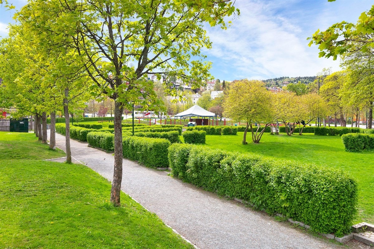 I kort gangavstand fra leiligheten finner du vakre Ilaparken, perfekt for lek og hygge. Langs parken finner du både buss og trikkestopp. Galleribilde