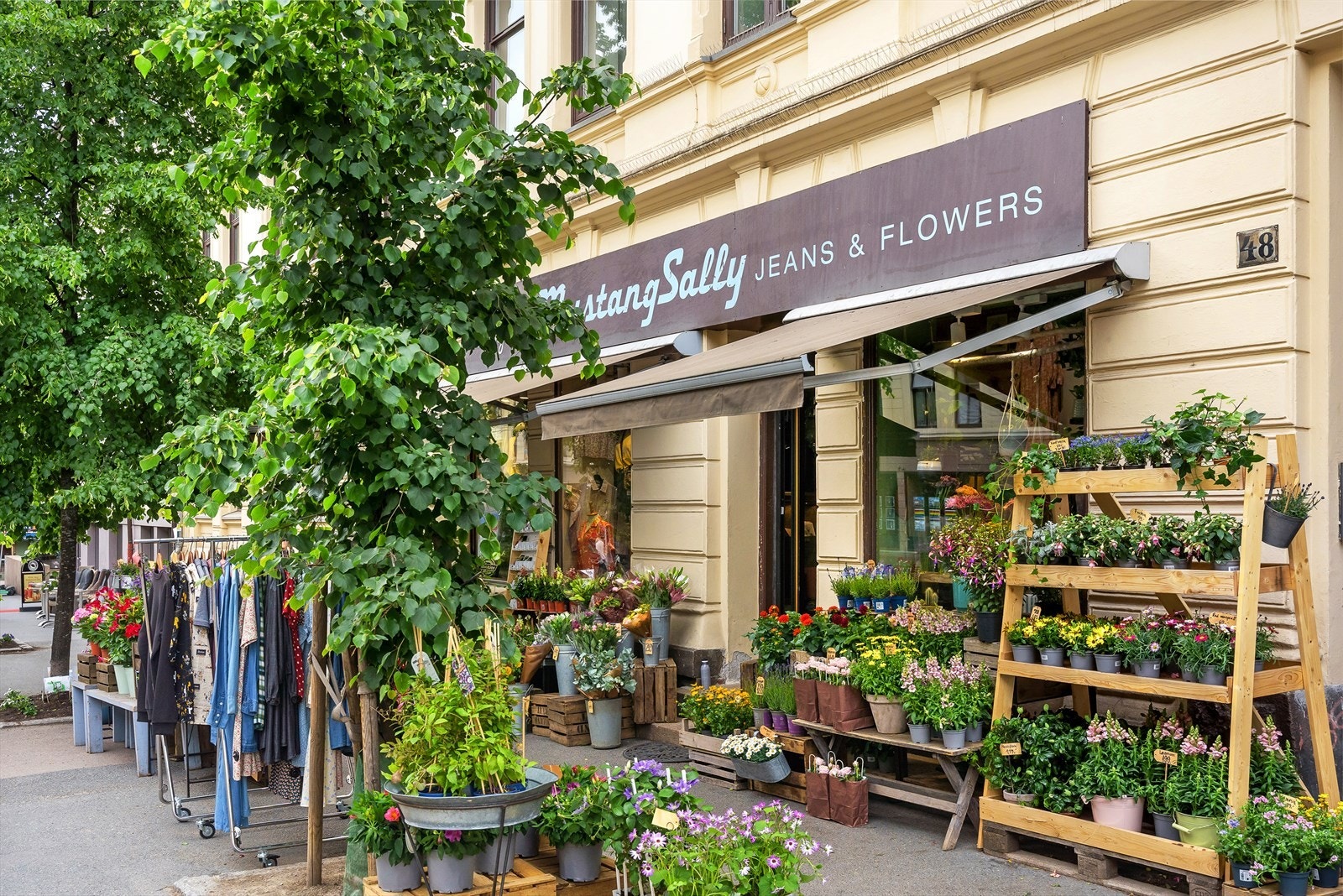 Torshov tilbyr en rekke nisjebutikker og er et levende bystrøk. Galleribilde