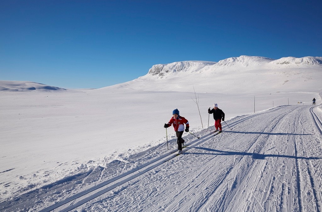 Foto: Morten Knudsen Galleribilde