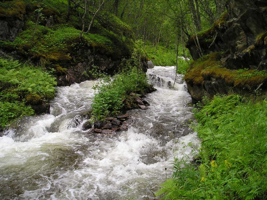 Området