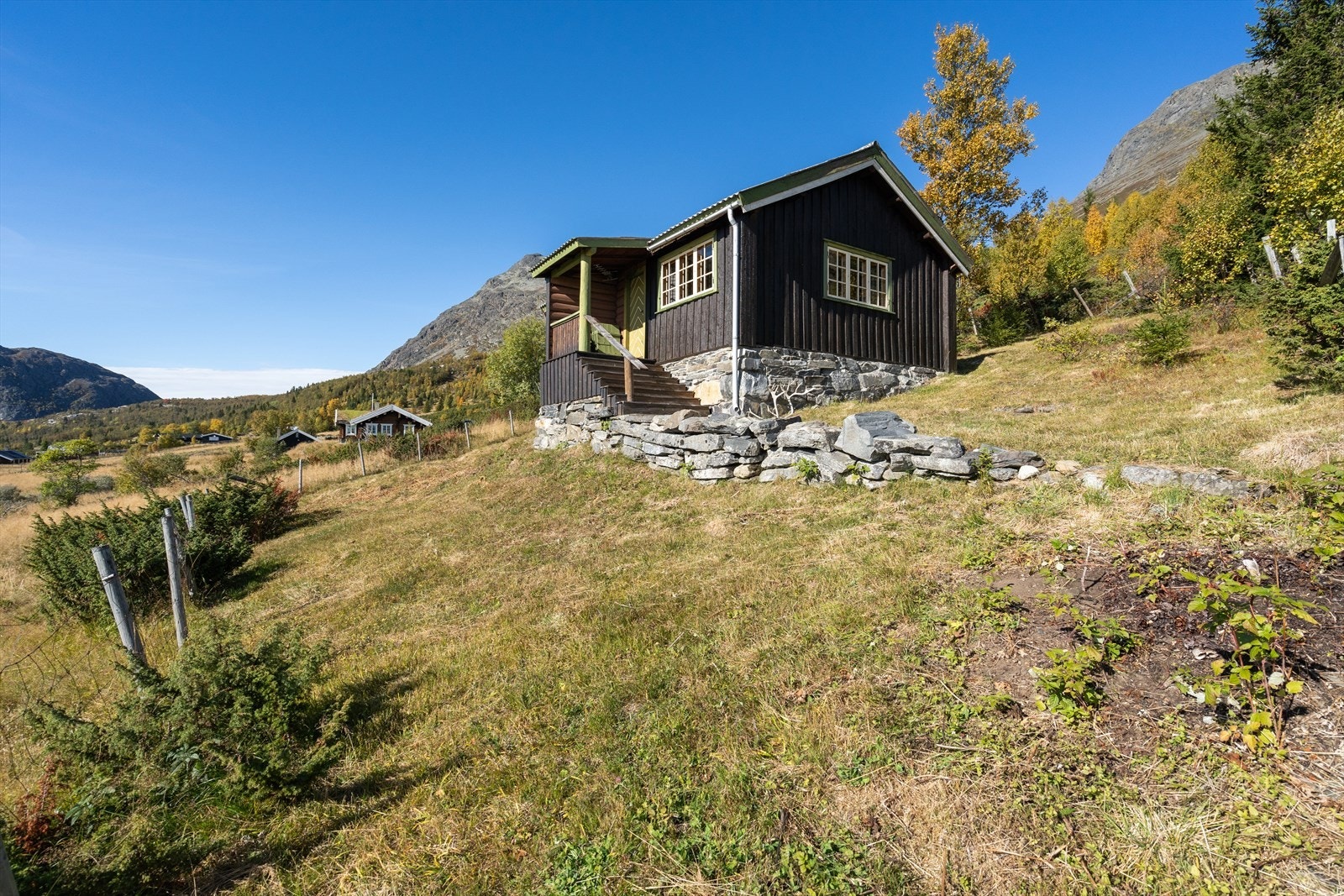 Velkommen til en hyggelig visning! Galleribilde