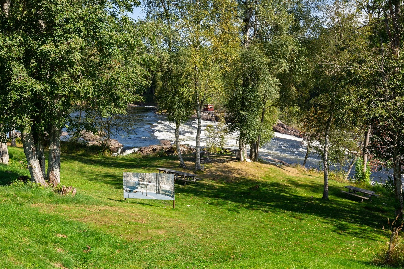 Bilde av bilde som viser bilde om vinteren Galleribilde