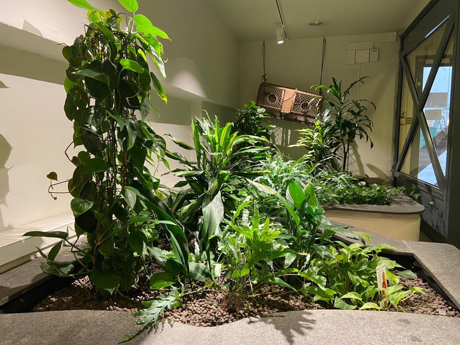 Grønt ved inngangsparti Galleribilde