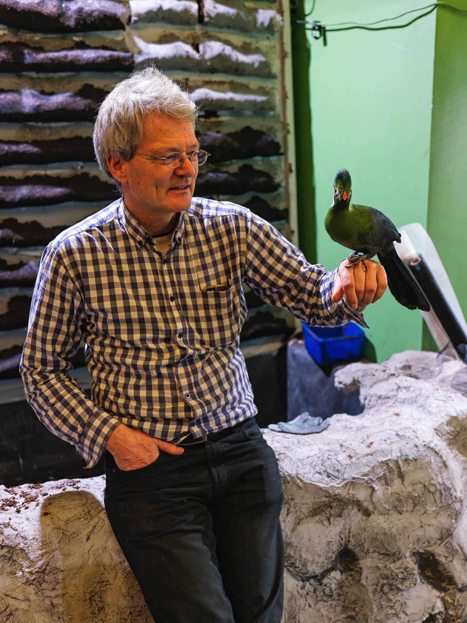 Urban Zoo er populært for barna og hele familien å besøke Galleribilde