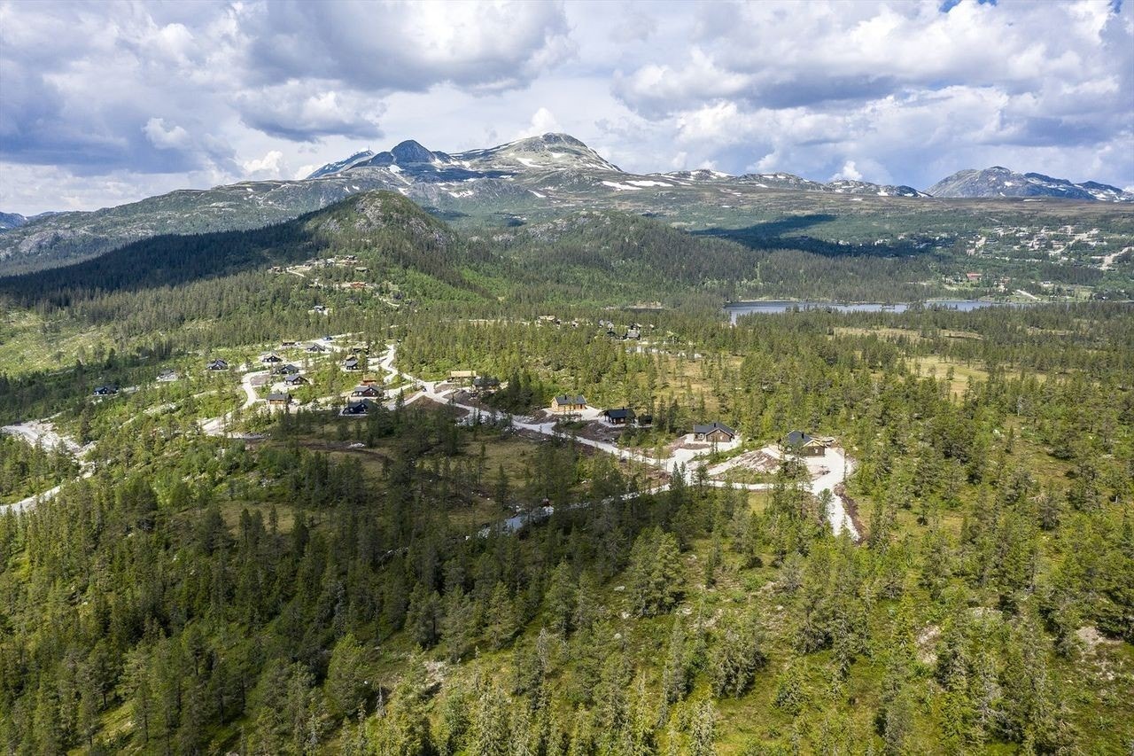 Velkommen til Måsafjell. Solsiden av Gaustatoppen Galleribilde