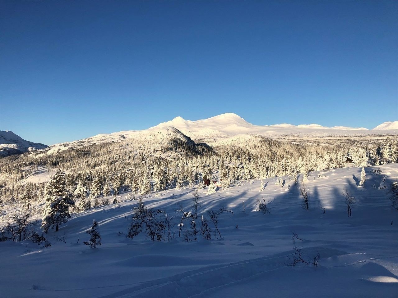 Måsafjell romjul 2020 Galleribilde