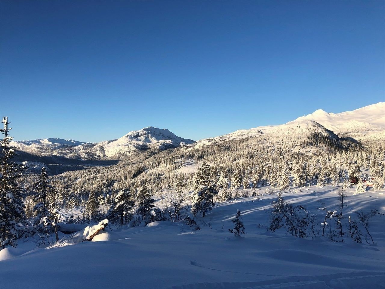 Måsafjell romjul 2020 Galleribilde