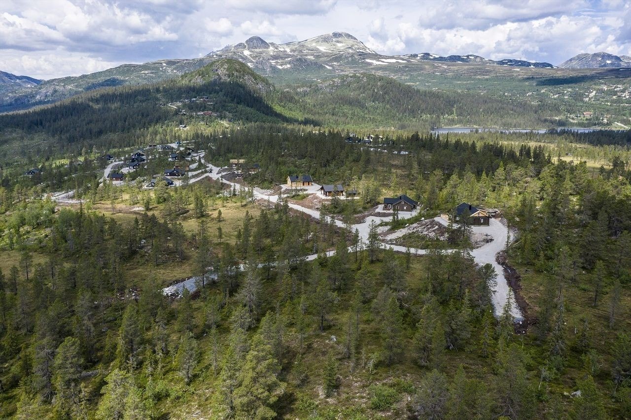 Flott beliggenhet med Gaustatoppen og Gausta-knea i bakgrunn Galleribilde
