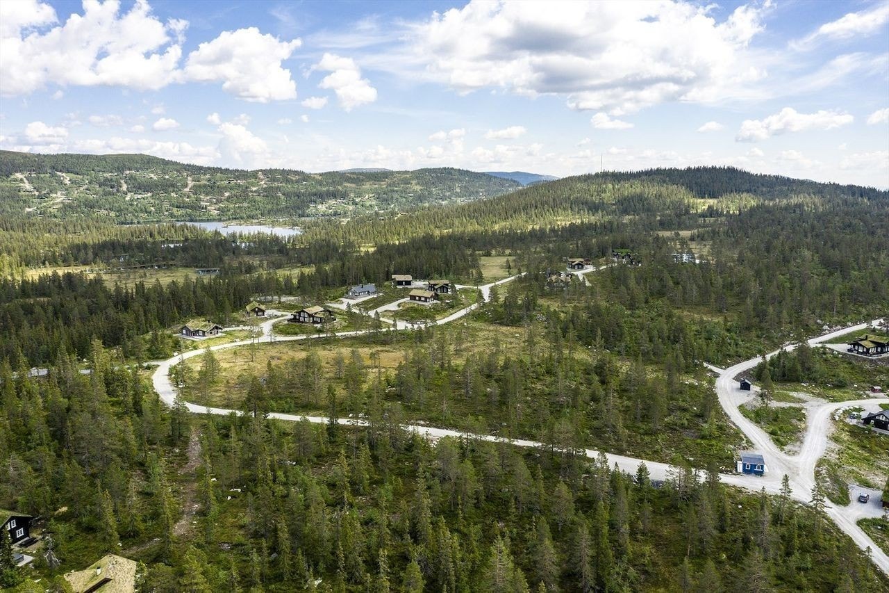 Måsafjell juni 2020 Galleribilde