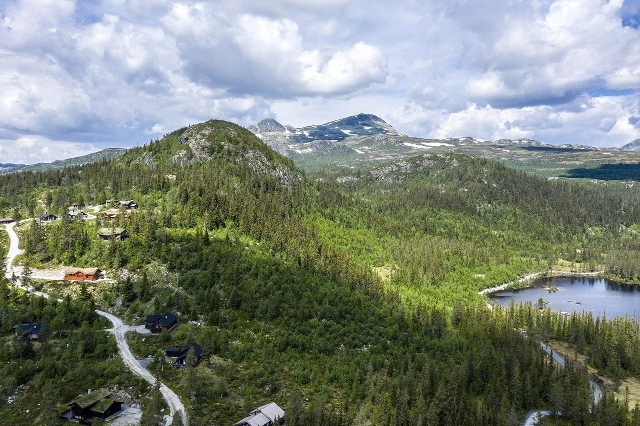 Flotte turområder i nærområdet, både sommer som vinter Galleribilde