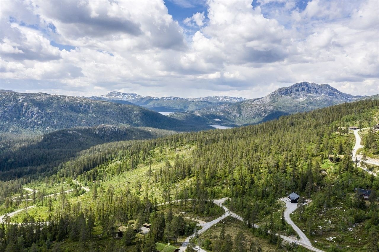 Måsafjell Galleribilde