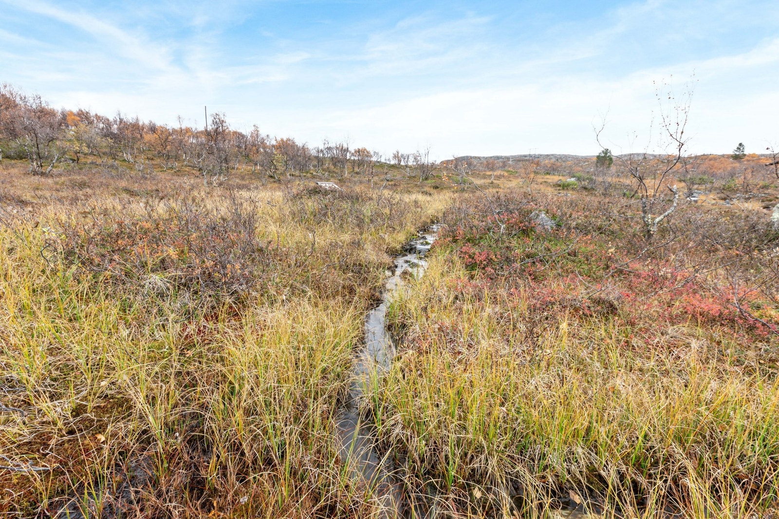 Bekk på øversiden Galleribilde