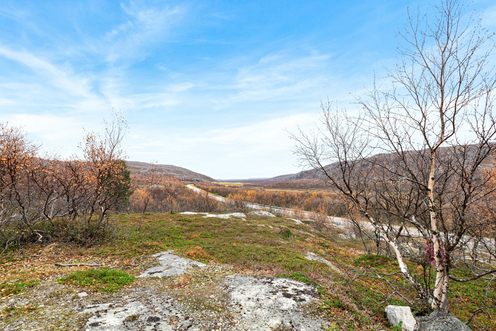 Utsikt nedenfor hytta Galleribilde