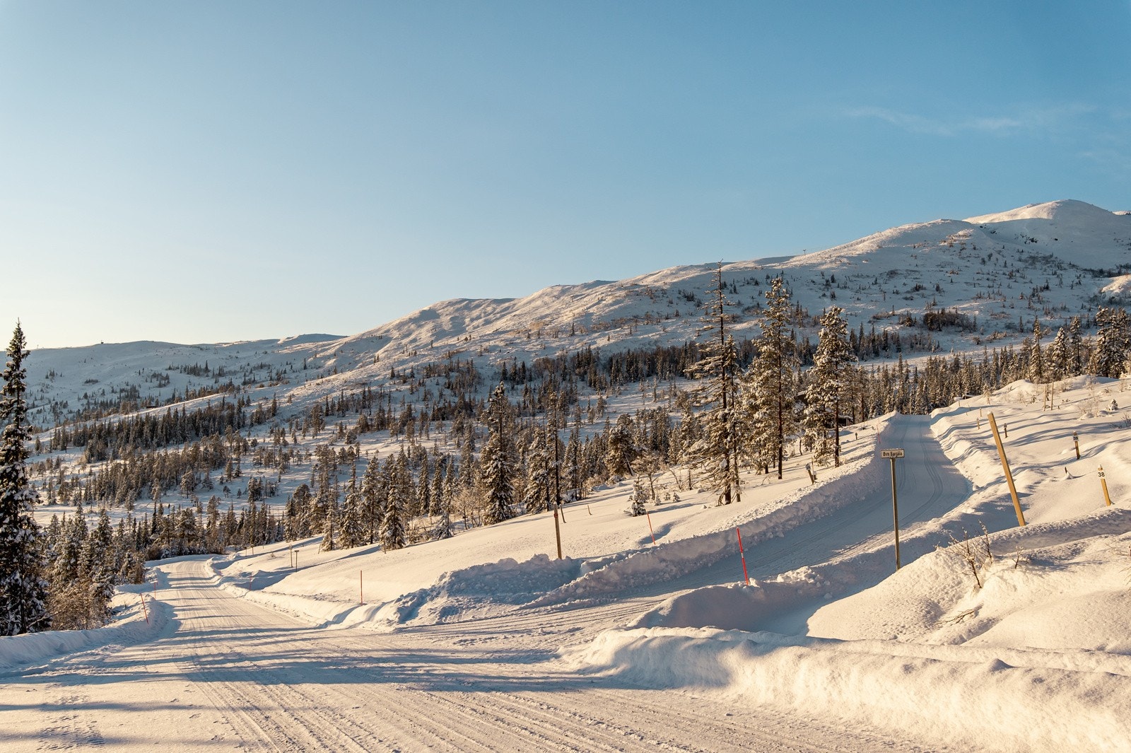 Områdebilde Galleribilde