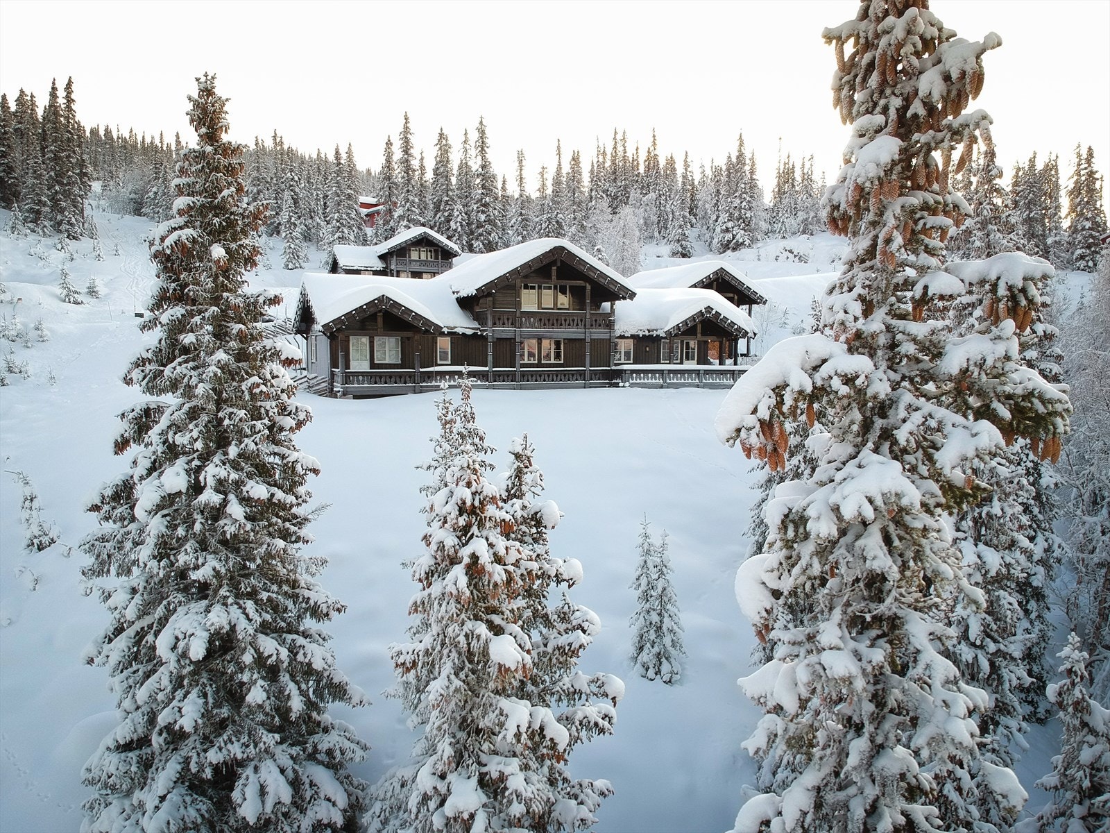 Selgers egne bilder - Vinter front.jpg Galleribilde