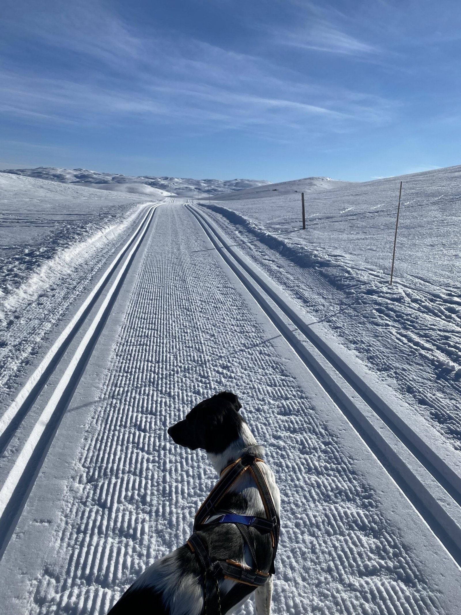Løypenettet strekker seg fra Norefjell/Tempelseter til Haglebu. Galleribilde