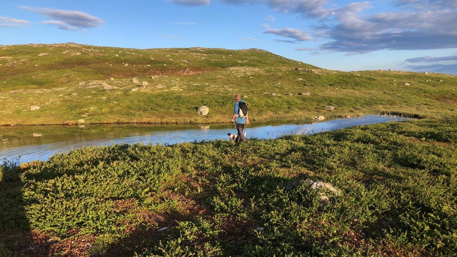 Idylliske småvann i fjellområdet rett bak hytta. Galleribilde