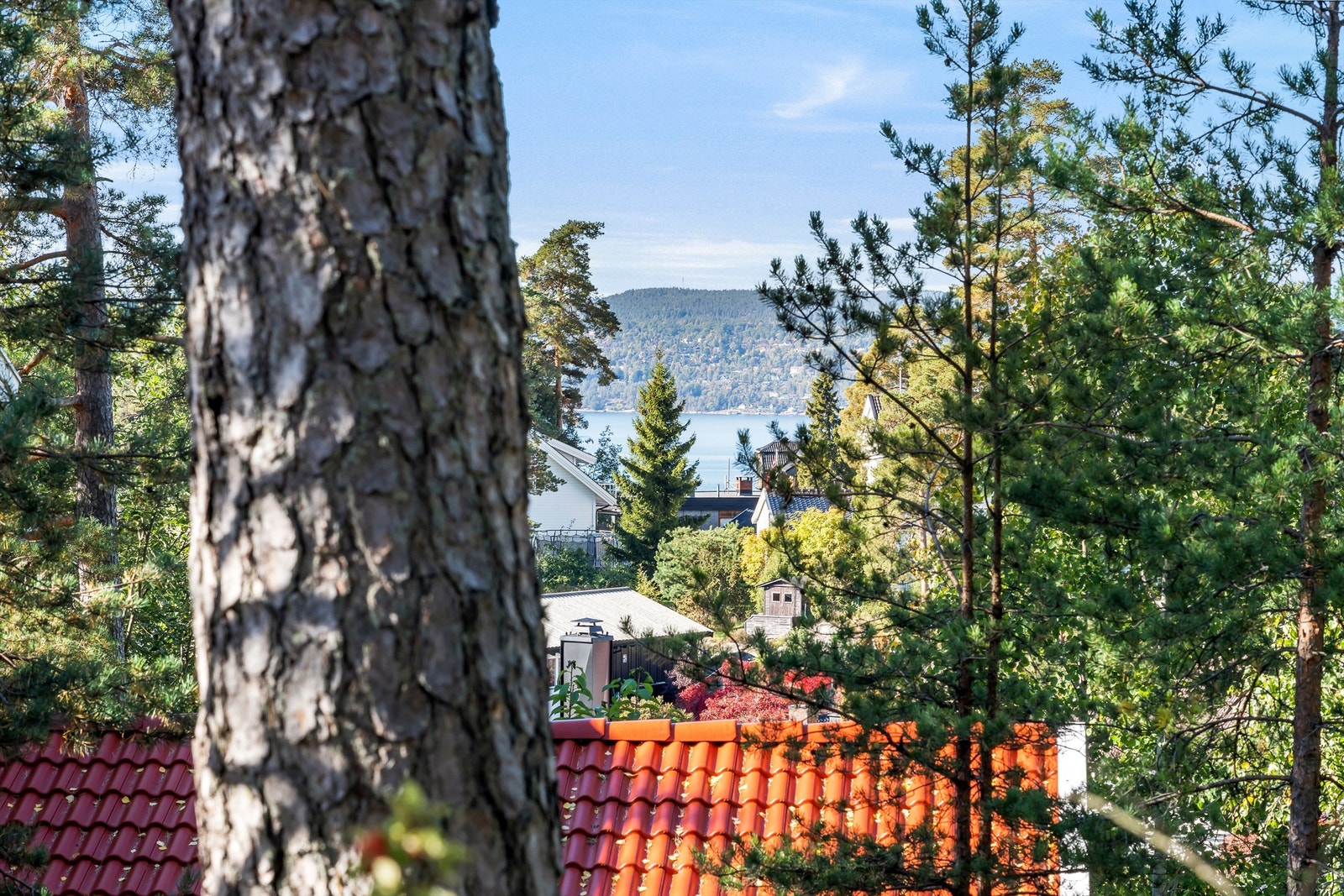 Fjordgløtt. Galleribilde