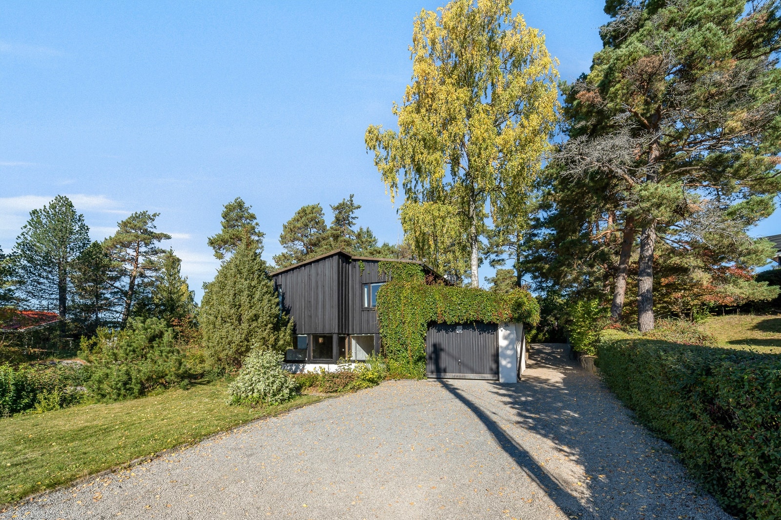 Fasade. Galleribilde